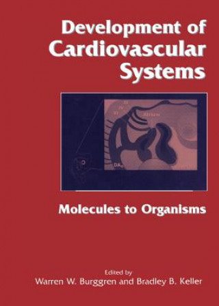 Kniha Development of Cardiovascular Systems Warren W. BurggrenBradley B. KellerConstance Weinstein