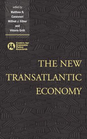 Könyv New Transatlantic Economy Matthew B. Canzoneri