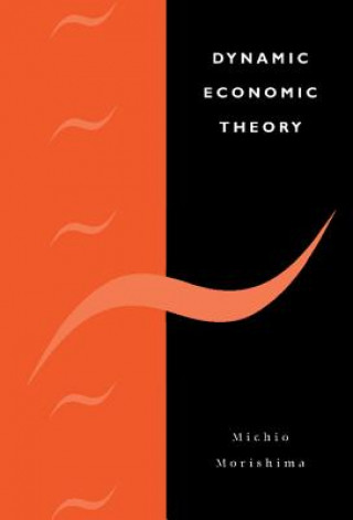 Kniha Dynamic Economic Theory Michio Morishima