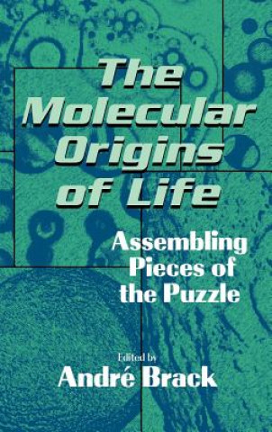 Kniha Molecular Origins of Life Andri Brack