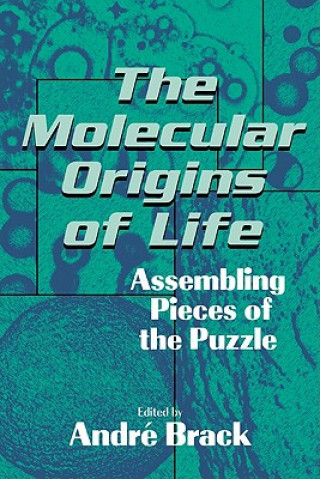 Kniha Molecular Origins of Life Andri Brack