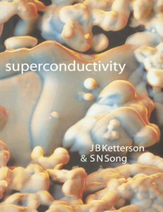 Boek Superconductivity J. B. KettersonS. N. Song