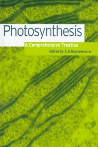 Książka Photosynthesis A. S. Raghavendra