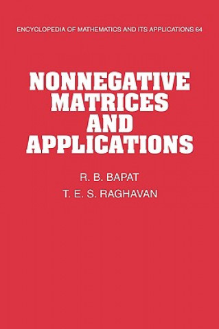 Kniha Nonnegative Matrices and Applications Bapat