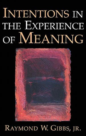 Kniha Intentions in the Experience of Meaning Gibbs