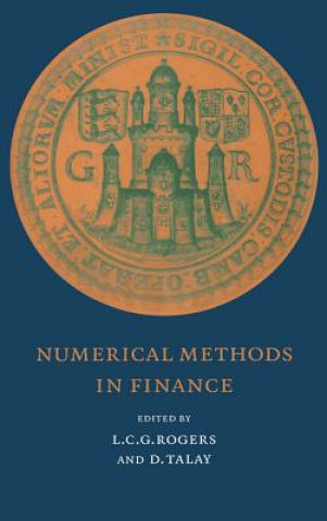 Kniha Numerical Methods in Finance L. C. G. RogersD. Talay