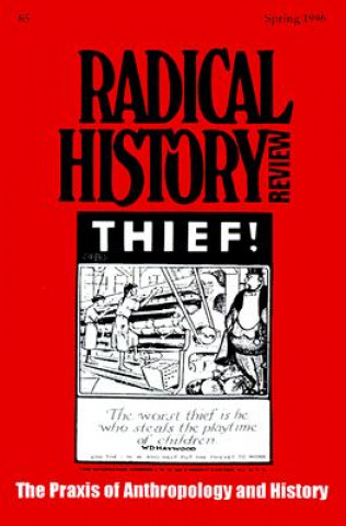 Buch Radical History Review: Volume 65 