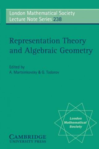 Kniha Representation Theory and Algebraic Geometry A. MartsinkovskyG. Todorov