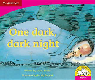 Книга One Dark Dark Night (English) Lesley BeakePaddy BoumaMaggie JantjiesJane Nkwahla