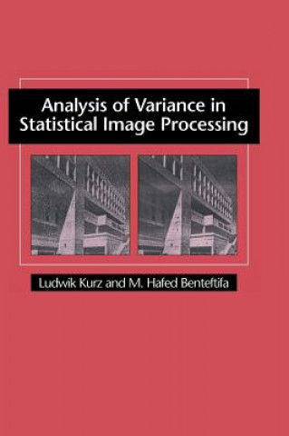 Kniha Analysis of Variance in Statistical Image Processing Kurz