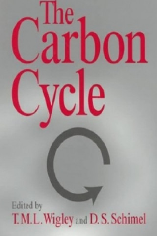 Kniha Carbon Cycle T. M. L. WigleyD. S. Schimel