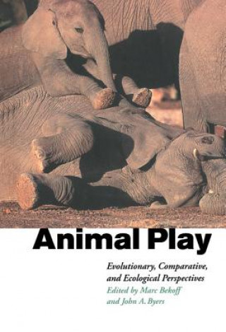 Könyv Animal Play Marc BekoffJohn A. Byers