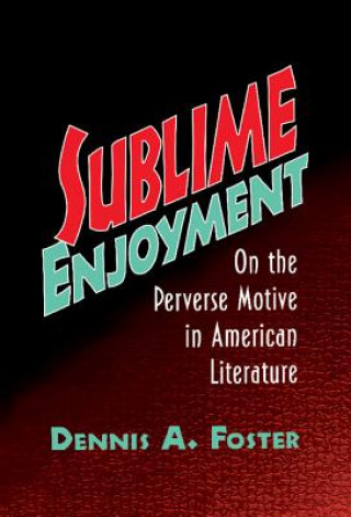 Buch Sublime Enjoyment Dennis A. Foster