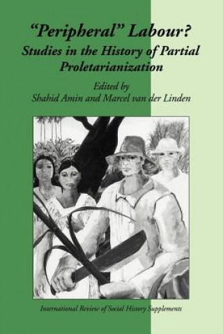 Knjiga Peripheral Labour Shahid AminMarcel van der Linden