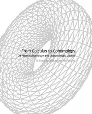 Книга From Calculus to Cohomology Ib H. MadsenJxrgen Tornehave