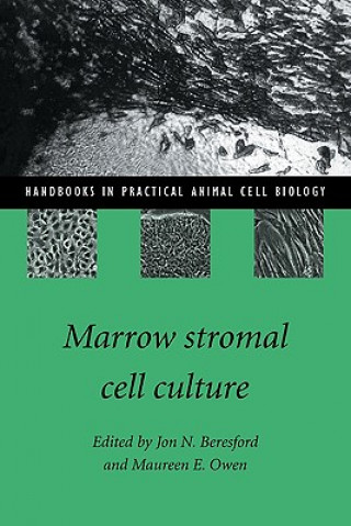 Carte Marrow Stromal Cell Culture Beresford