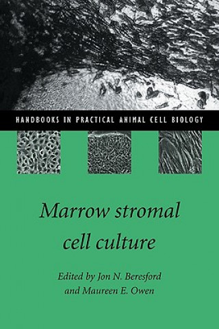 Kniha Marrow Stromal Cell Culture Beresford