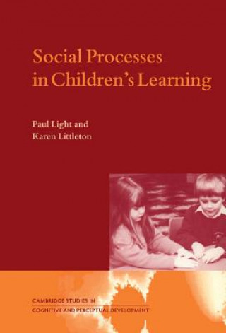 Livre Social Processes in Children's Learning Paul LightKaren Littleton