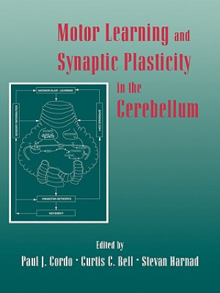 Kniha Motor Learning and Synaptic Plasticity in the Cerebellum Paul J. CordoCurtis Calvin BellStevan R. Harnad