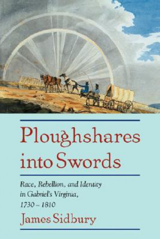 Könyv Ploughshares into Swords James Sidbury