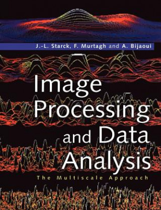 Carte Image Processing and Data Analysis Jean-Luc StarckFionn D. MurtaghAlbert Bijaoui