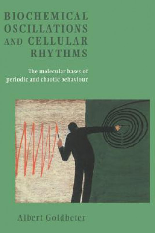 Könyv Biochemical Oscillations and Cellular Rhythms Albert GoldbeterM. J. Berridge