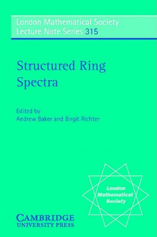 Könyv Structured Ring Spectra Andrew BakerBirgit Richter