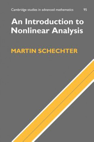 Buch Introduction to Nonlinear Analysis Martin Schechter