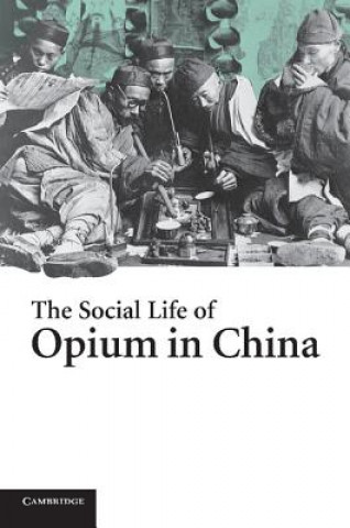 Könyv Social Life of Opium in China Zheng (National University of Singapore) Yangwen