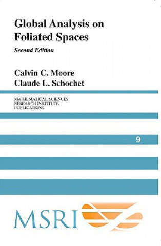 Kniha Global Analysis on Foliated Spaces Calvin C. MooreClaude L. Schochet