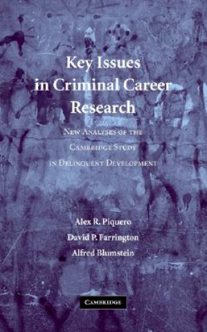 Kniha Key Issues in Criminal Career Research Alex R. PiqueroDavid P. FarringtonAlfred Blumstein