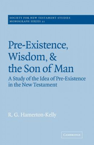 Kniha Pre-Existence, Wisdom, and The Son of Man R. G. Hamerton-Kelly