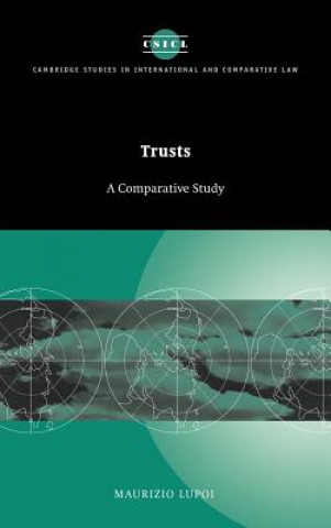 Buch Trusts Maurizio LupoiSimon Dix