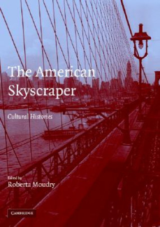 Knjiga American Skyscraper Roberta Moudry