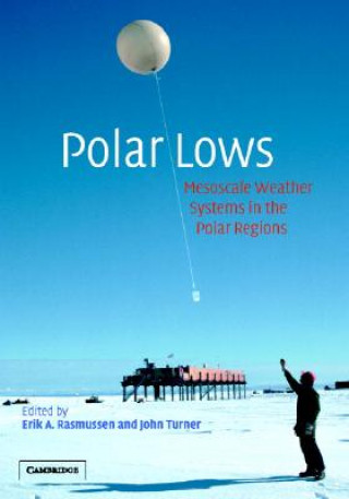 Knjiga Polar Lows Erik A. RasmussenJohn Turner