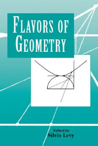 Kniha Flavors of Geometry Silvio Levy