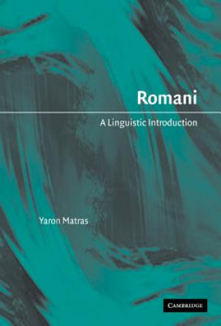 Könyv Romani Yaron Matras