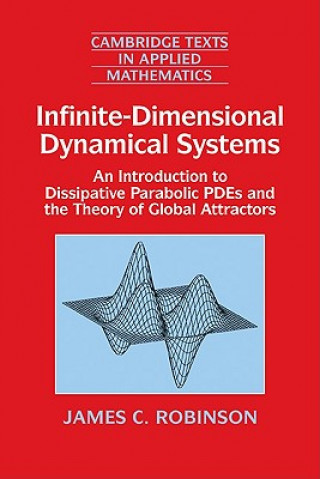 Kniha Infinite-Dimensional Dynamical Systems James C. Robinson