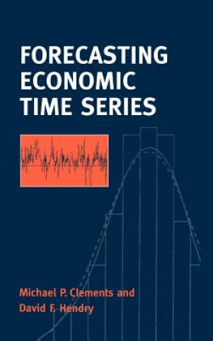 Könyv Forecasting Economic Time Series Michael ClementsDavid Hendry