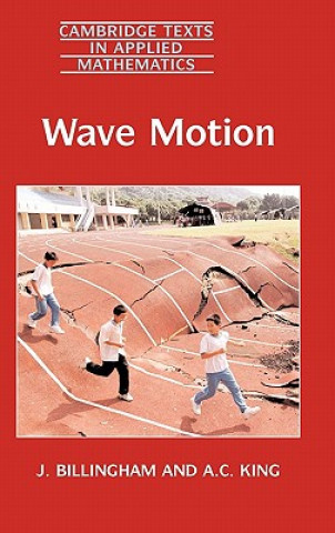 Kniha Wave Motion J. BillinghamA. C. King