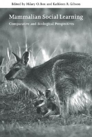 Boek Mammalian Social Learning Hilary O. BoxKathleen R. Gibson