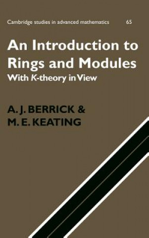 Könyv Introduction to Rings and Modules A. J. BerrickM. E. Keating