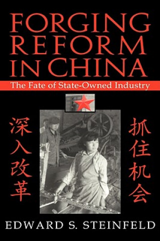 Knjiga Forging Reform in China Edward S. (Massachusetts Institute of Technology) Steinfeld