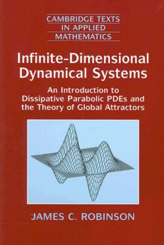 Könyv Infinite-Dimensional Dynamical Systems James C. (University of Warwick) Robinson