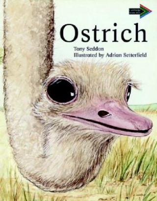 Kniha Ostrich South African edition Tony Seddon