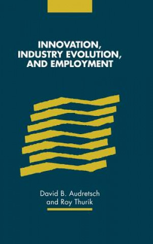 Könyv Innovation, Industry Evolution and Employment David B. AudretschRoy Thurik