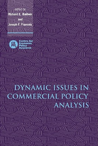 Könyv Dynamic Issues in Commercial Policy Analysis Richard E. BaldwinJoseph F. Francois