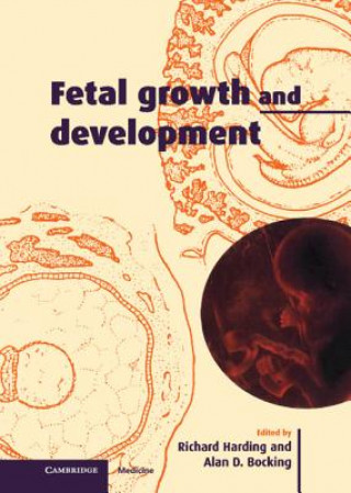 Kniha Fetal Growth and Development Richard HardingAlan D. Bocking