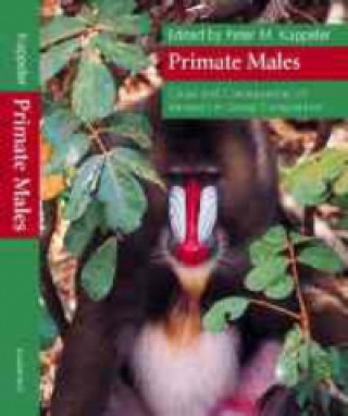 Carte Primate Males Peter M. Kappeler