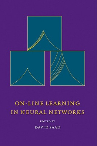 Könyv On-Line Learning in Neural Networks David Saad